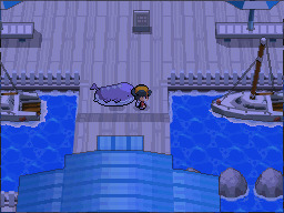 Wailmer (the Ball Whale Pokémon)