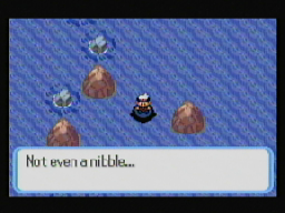 Not even a nibble...