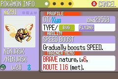 Nincada (the Trainee Pokémon)