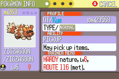 Phase 4 - Zigzagoon (the Tiny Raccoon Pokémon)