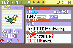 Phase 5 - Taillow (the Tiny Swallow Pokémon)